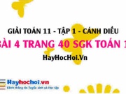 Giải bài 4 trang 40 Toán 11 tập 1 SGK Cánh Diều